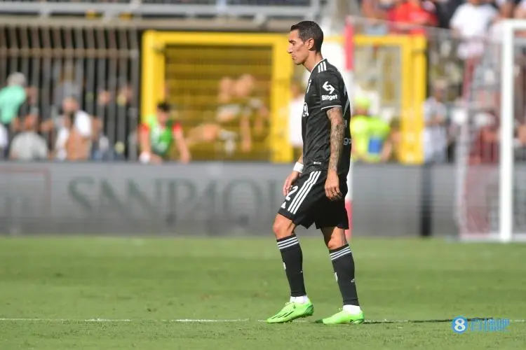 法国杯倒计时，本菲卡清晨造点机会，细节引发关注，引发热议，数据趋势出现新变化的简单介绍